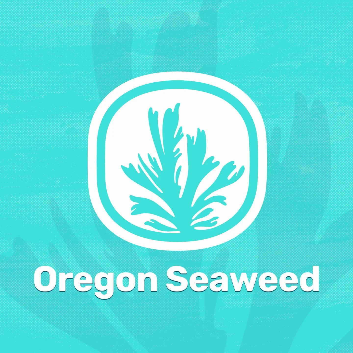 oregon seaweed square 2022