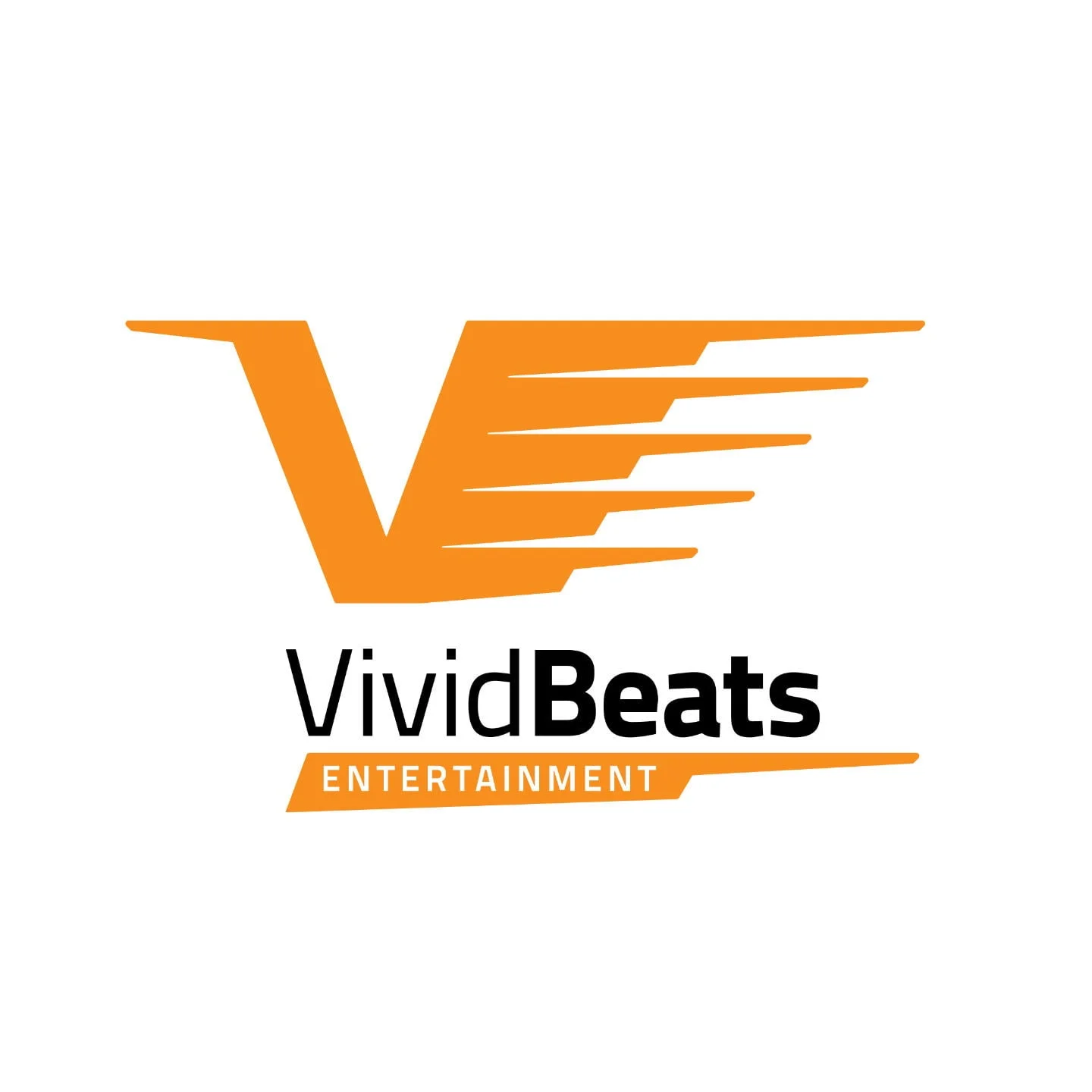 landry blume graphic designer branding 07 vivid beats entertainment