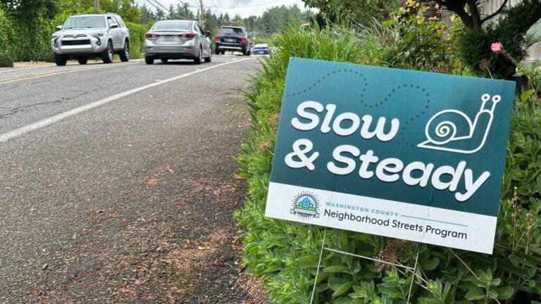 slow & steady snail washco sign